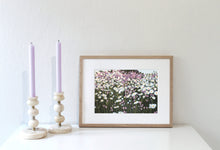 Load image into Gallery viewer, &quot;Summer Field&quot; fine art canvas print