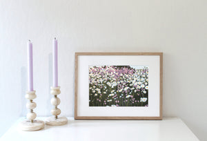 "Summer Field" fine art canvas print