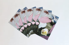 Load image into Gallery viewer, Palette III - set of 6 cards